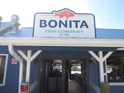 article image - IMG_3748